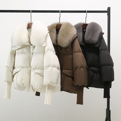 Talulla | Glam Windbreaker Jacket